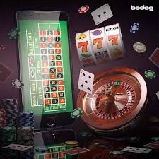 5557 bet